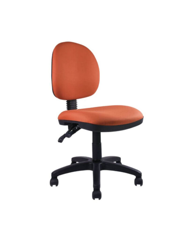 Silla ergonómica multifuncional BM 604 PL